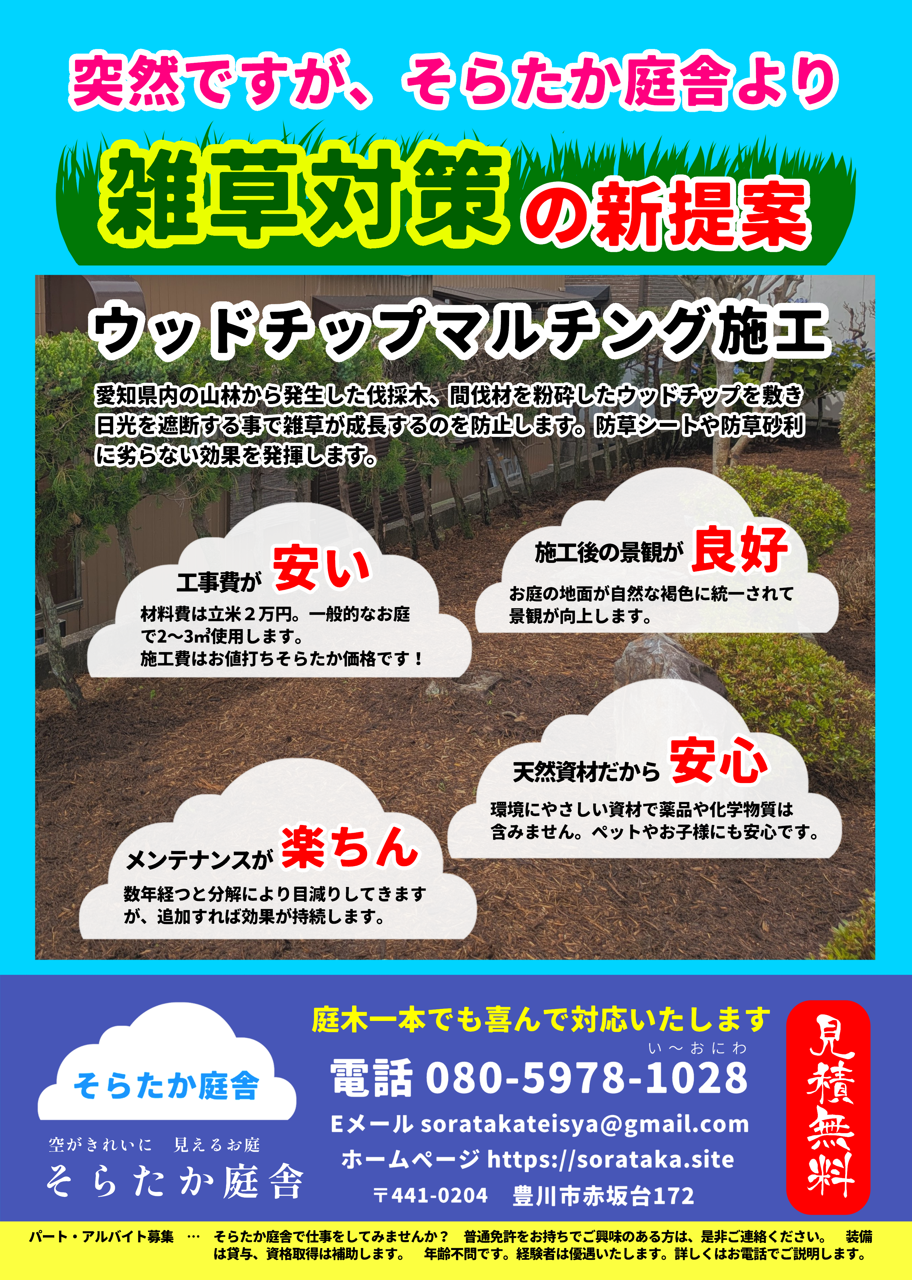最新チラシ